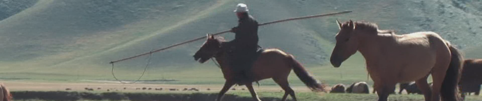 Mönchengladbacher Filmklub Objektiv e.V.